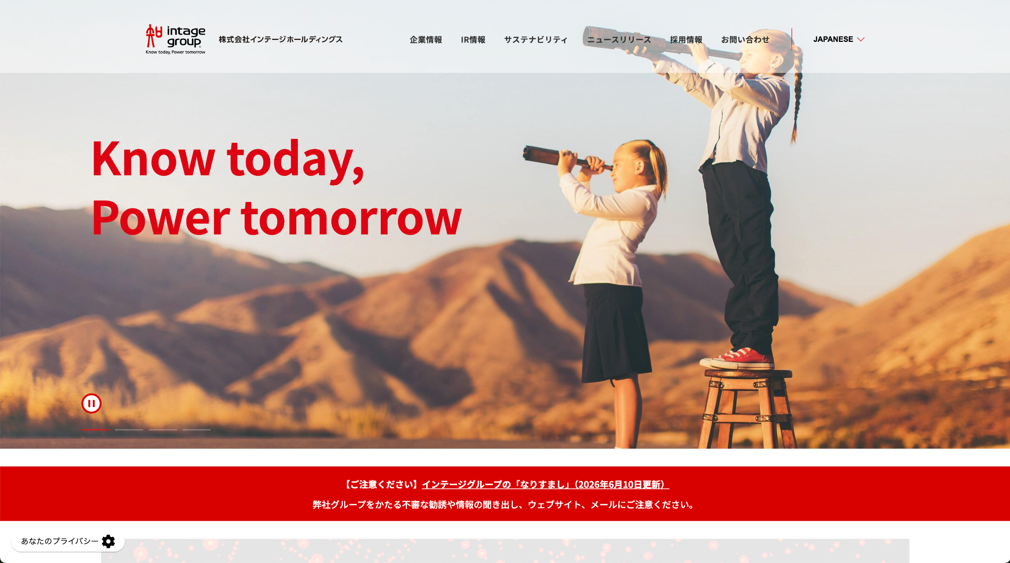 株式会社インテージホールディングス
